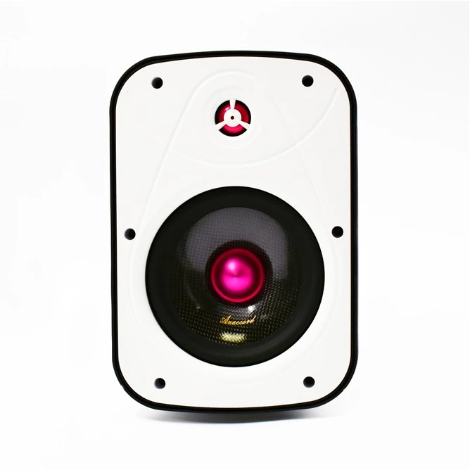 Anaccord雅那歌音響 DC-01-B6-T 6inch RUBY  IPX66 waterproof desktop wall mount speakers 30W 1pair, , large