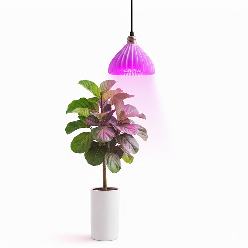 【君沛】LED植物燈 40W E27燈泡 吊掛式紅藍混光 塊根龍舌蘭生長燈 鹿角蕨龜背芋室內補光, , large