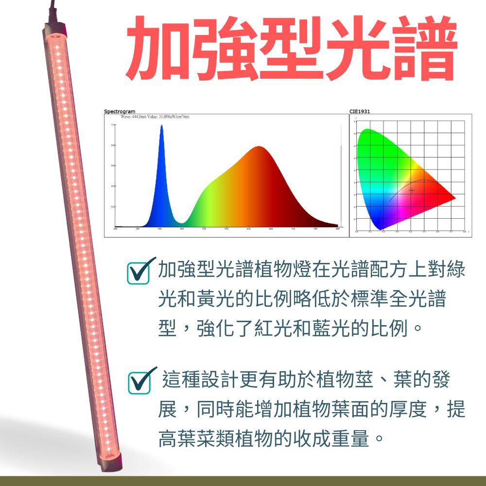 【君沛】加強型光譜 2呎T8植物燈管 12.5W 抑制徒長 食蟲植物推薦 捕蠅草顯色 鹿角蕨 觀葉補光, , large