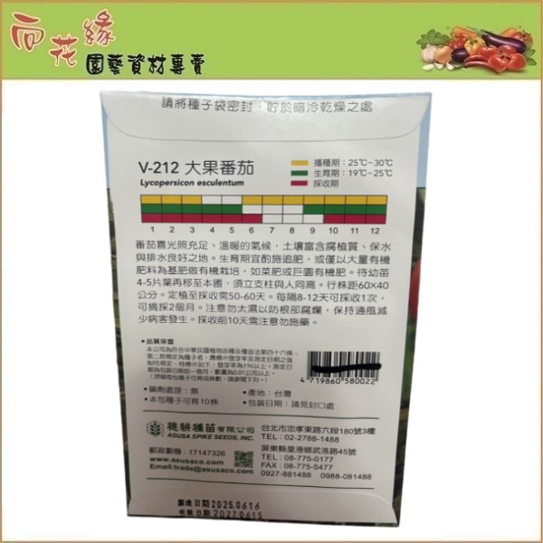 【向花緣】天星牌 大果番茄 - 蔬菜種子, , large