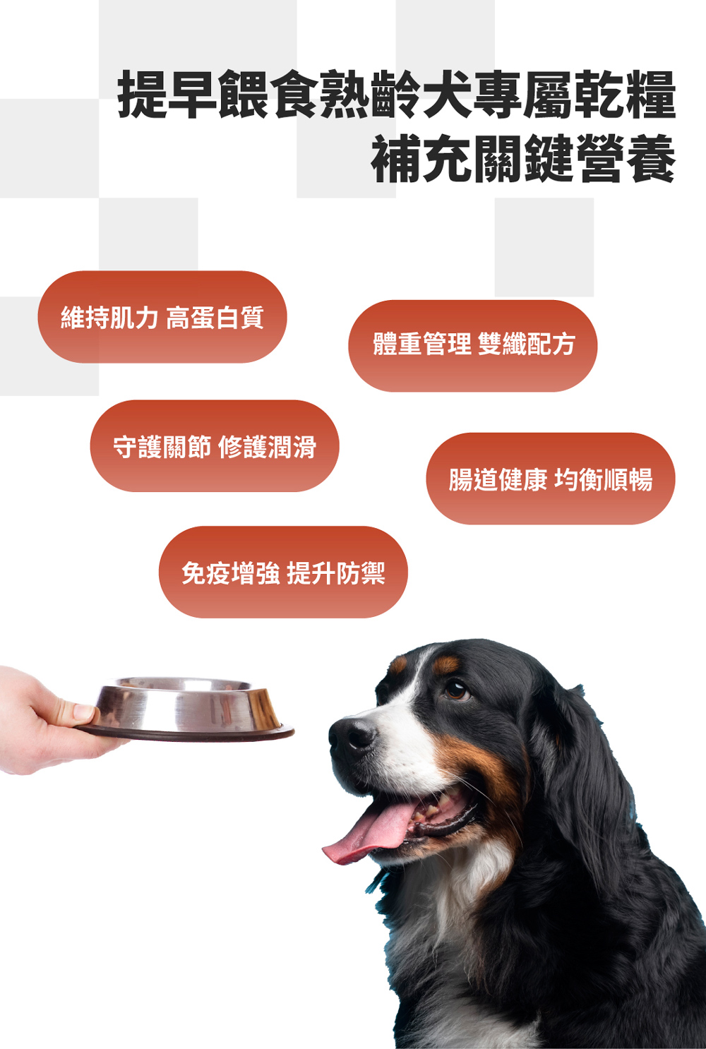 【GOMO PET FOOD】樂活原力/熟齡犬無穀低磷配方1.8kg 狗飼料 狗糧, , large