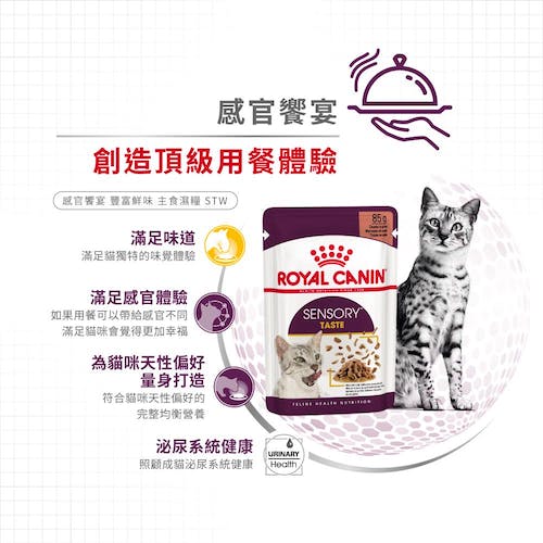 【拉拉寵物小舖】法國皇家 貓主食餐包 STW 感官饗宴&trade; 豐富鮮味主食濕糧 貓主食濕糧, , large