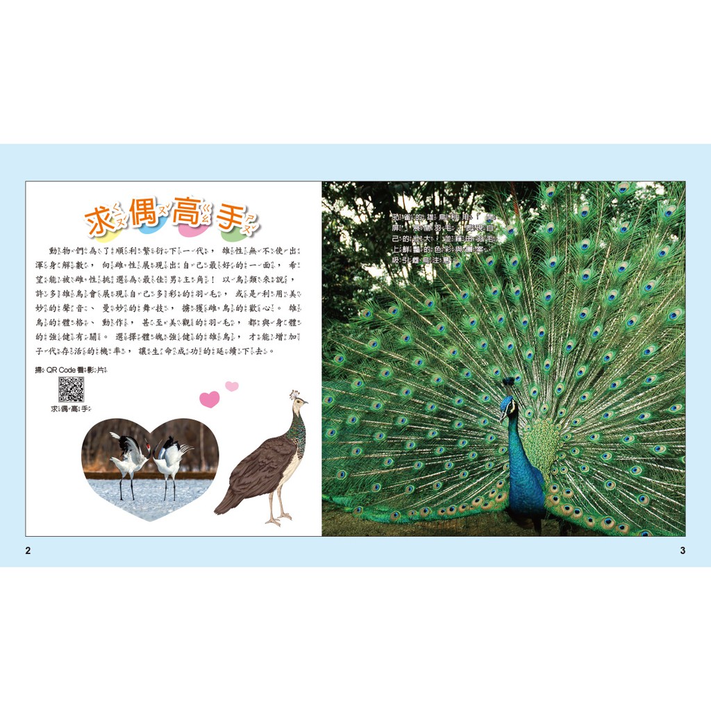 [小牛頓]動物生存高手：就是要傳宗接代 適合9-12歲 精裝全彩 高清照片搭動物影片, , large