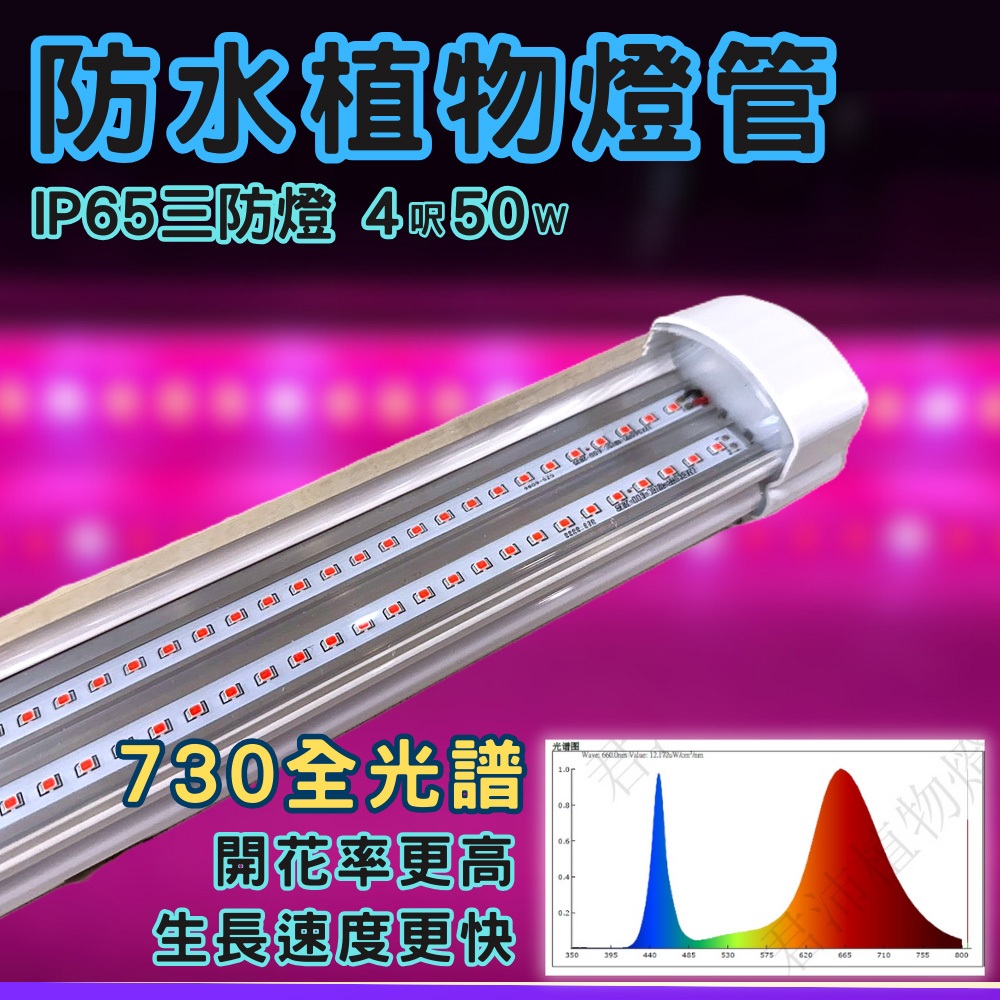 【君沛】防水 4呎 50W 植物燈 730全光譜 三防燈 LED植物生長燈 溫室 植物工廠 陽台補光 開花誘導, , large