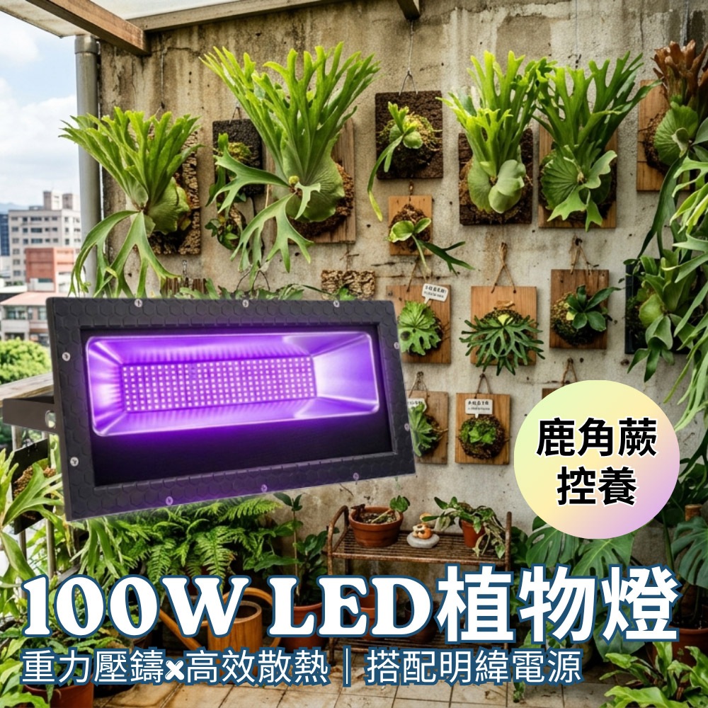 【君沛】7號光譜 100W 防水植物燈 抑制徒長 鹿角蕨控養 龍舌蘭 塊根 LED植物生長燈 陽台專業補光, , large