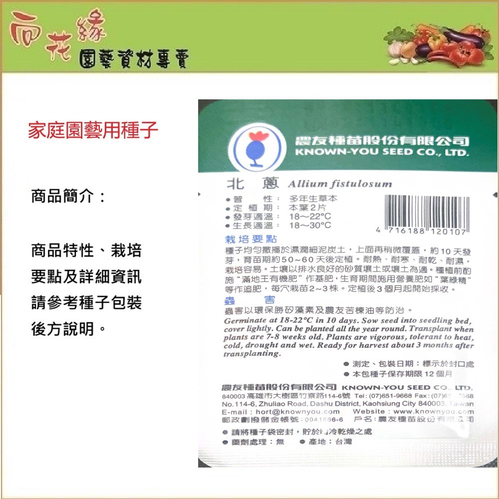 【向花緣】農友 北蔥 - 蔬菜種子, , large