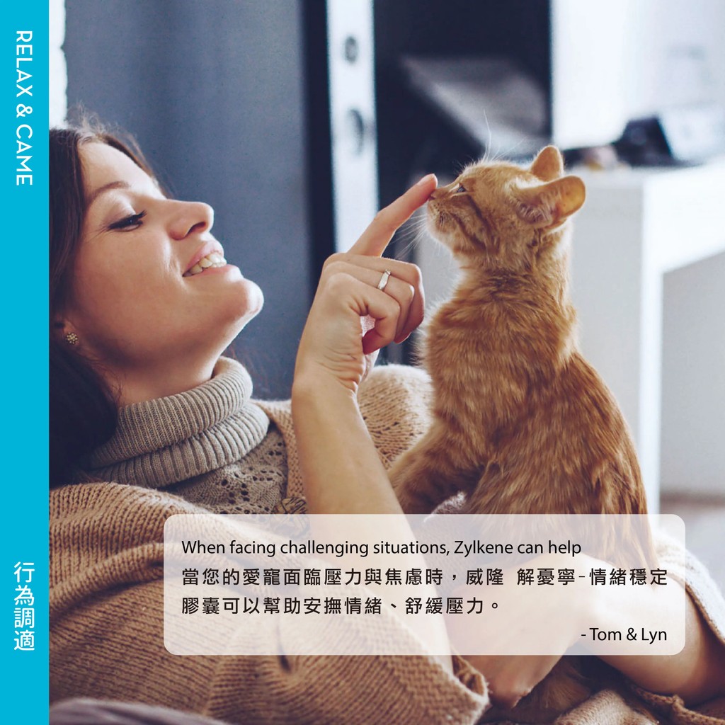 【PawHomie】法國威隆Vetoquinol解憂寧-情緒穩定膠囊, , large
