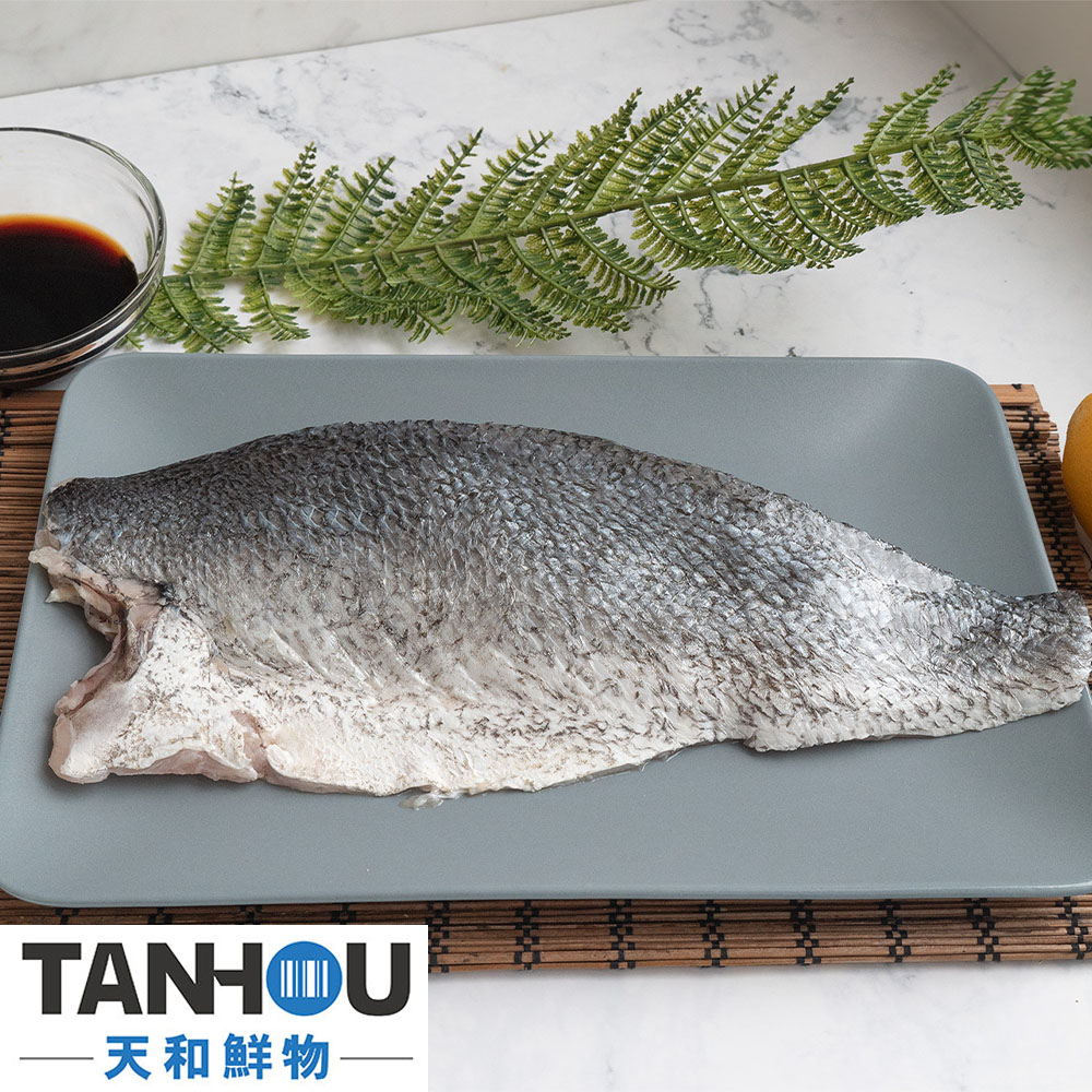 Sea croaker with chin fillet, , large