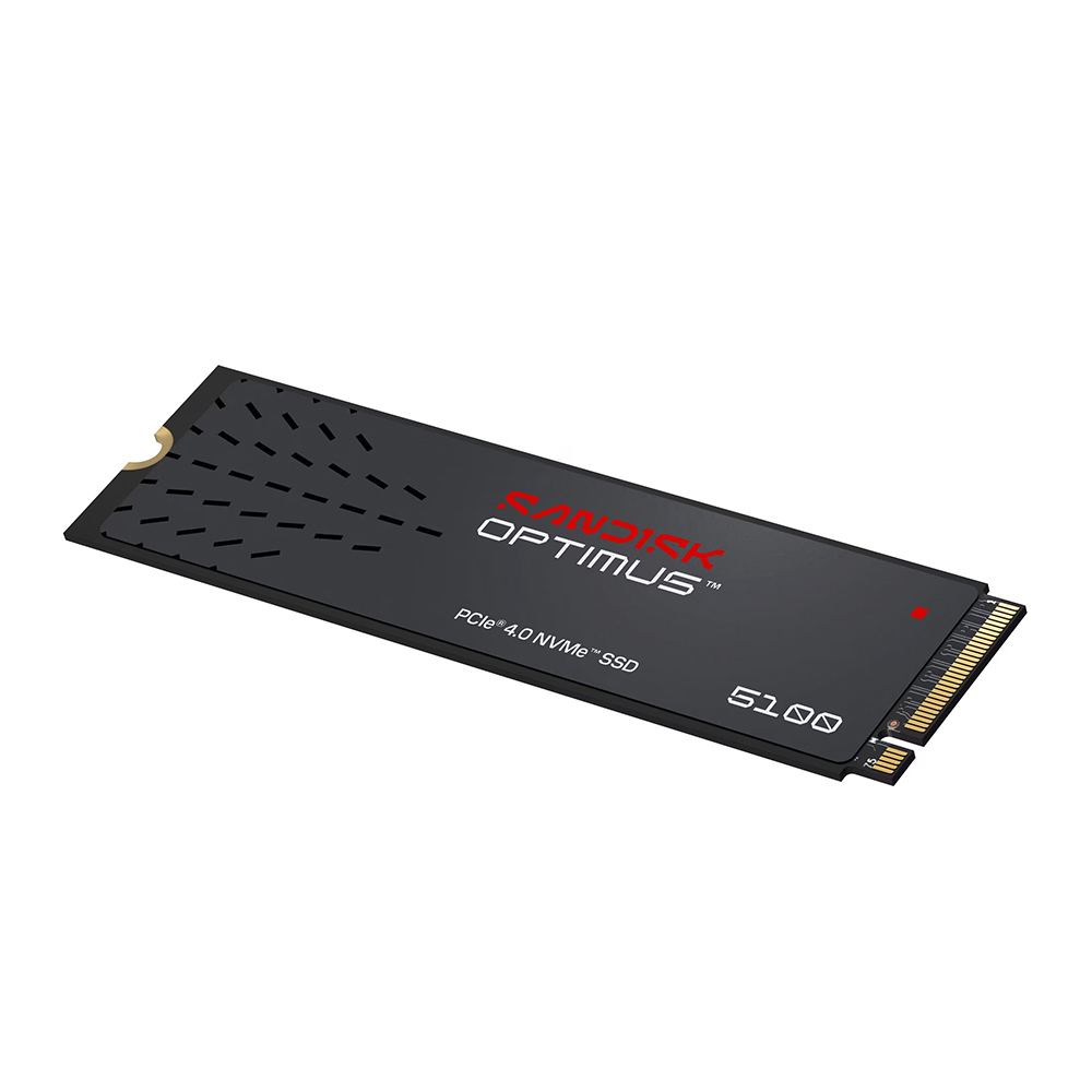 【SanDisk】Optimus 5100 NVMe 4TB SSD M.2 2280 代理商保固公司貨, , large