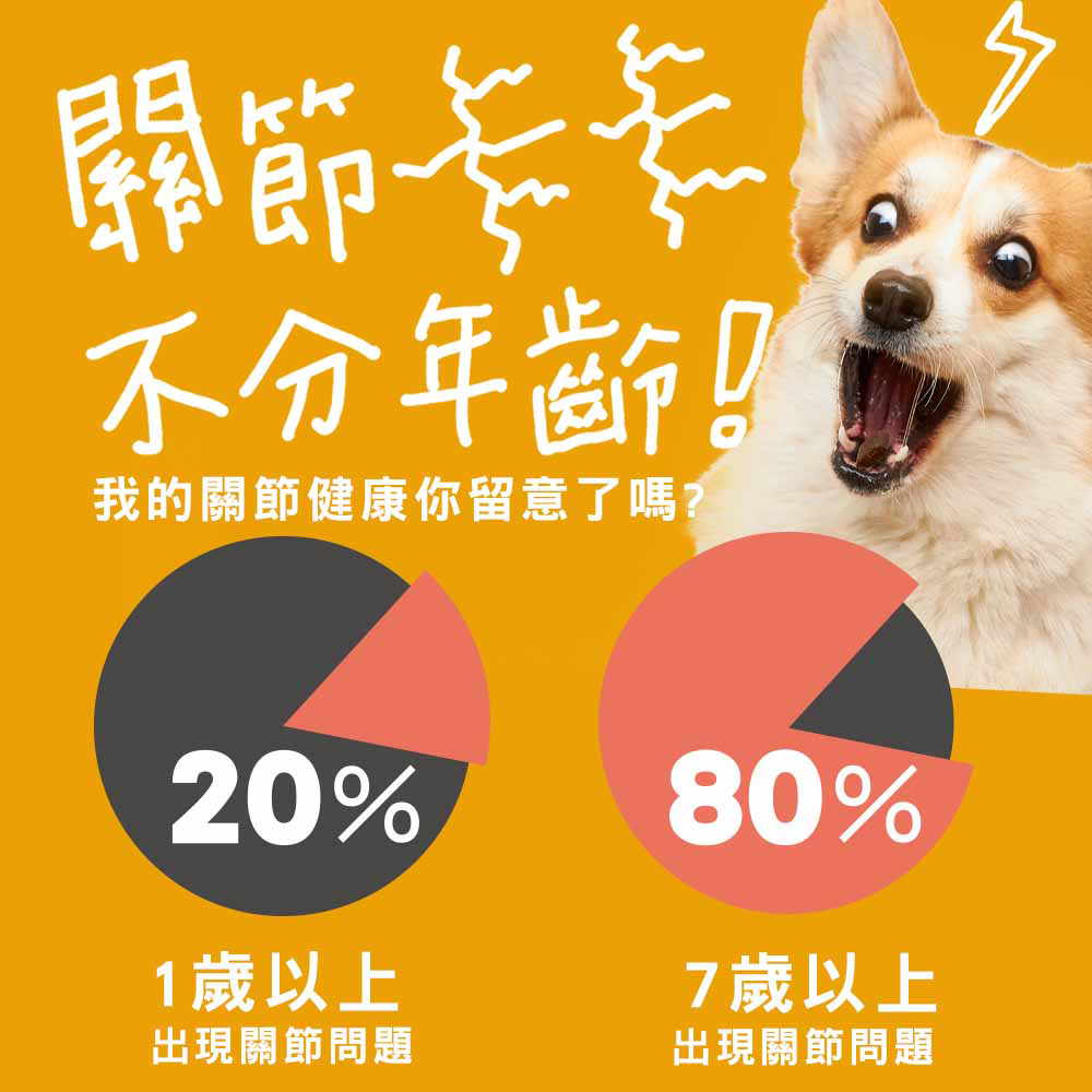 【IN-Plus】蛋殼膜關節保健 雙效呵護配方60顆/罐(全齡犬/狗關節/皮膚保健/寵物保健), , large