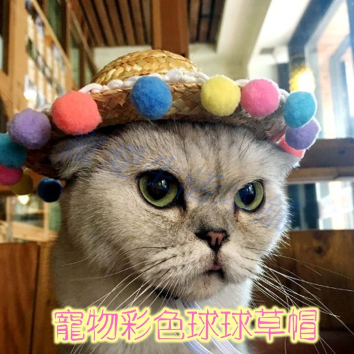 【寵愛生活本舖】寵物夏季彩色球球草帽 寵物帽子 狗帽子 貓帽子 寵物編織帽, , large