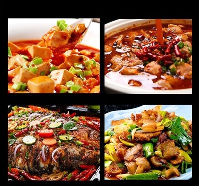 郫縣正宗四川鵑城牌紅油豆瓣醬 500g（不含肉） (2027/04/22), , large
