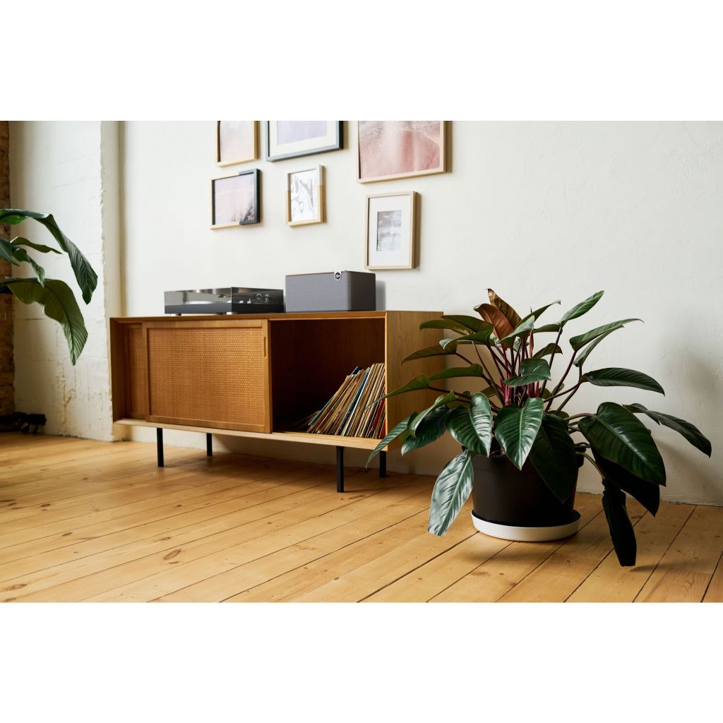 Klipsch The Three Plus 藍牙喇叭 - 福利品 木紋色 享原廠保固三個月, , large