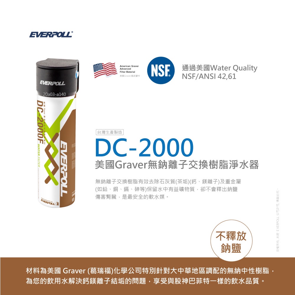 【麗水生活】愛科濾淨 EVERPOLL 雙道全效過濾器 DC-1000F DC-2000F(DCP-3000)公司貨, , large