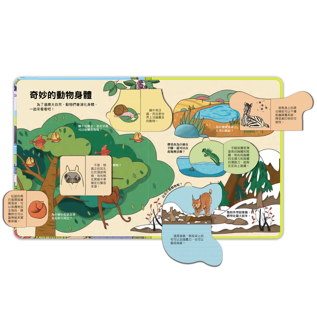 [風車圖書] 百問百答圖解翻翻書-揭祕動物, , large