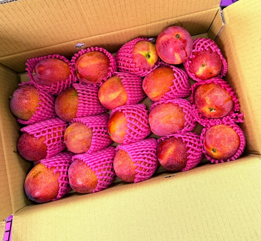 Irwin Mango, , large