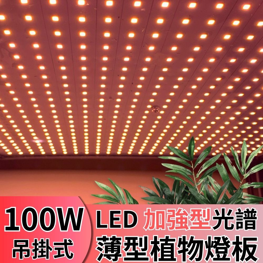 【君沛植物燈】LED植物燈 LED100W薄型植物燈板 100瓦吊掛式植物燈 加強型光譜 強化植物莖葉發展 植物生長燈版, , large