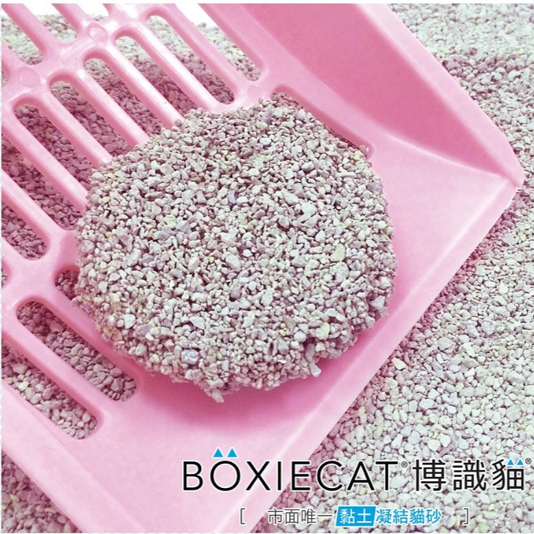 [承佳] BOXIECAT 博識貓 黏土凝結貓砂 天然黏土 16磅 (3包/箱), , large