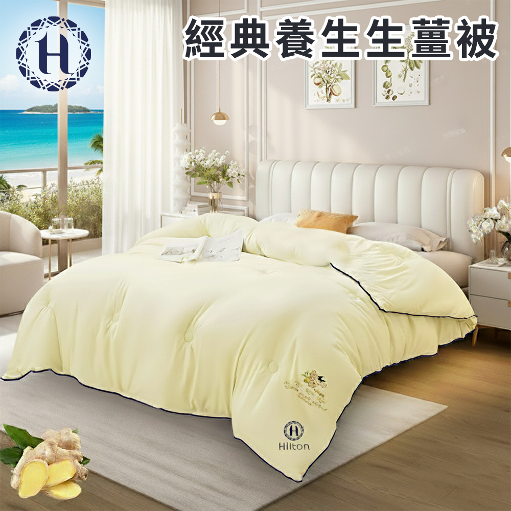 【Hilton 希爾頓】經典養生生薑被2.5KG (B0812-A25) 10/21-12/31 滿千送【AOC】超聲波智能電動牙刷1個, , large