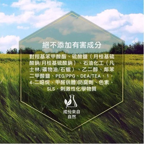 【PawHomie】Burt's Bees蘋果迷迭香除臭沐浴露（犬用）, , large
