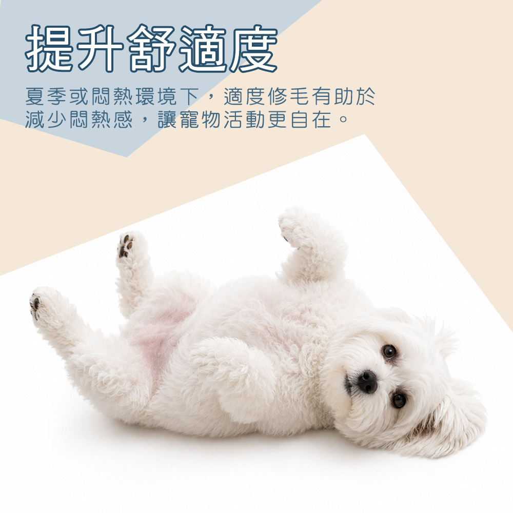 [HANLIN]-P938 寵物電動推剪 寵物電剪 寵物剪毛器 家用升級版 寵物剃刀 理毛器 剃毛器 電推剪 USB充電, , large