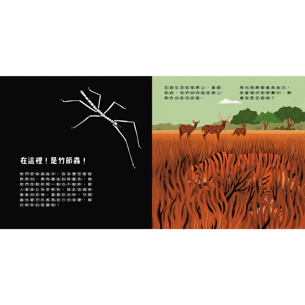 [禾流文創]登登登！透光Show 動物的偽裝術！, , large