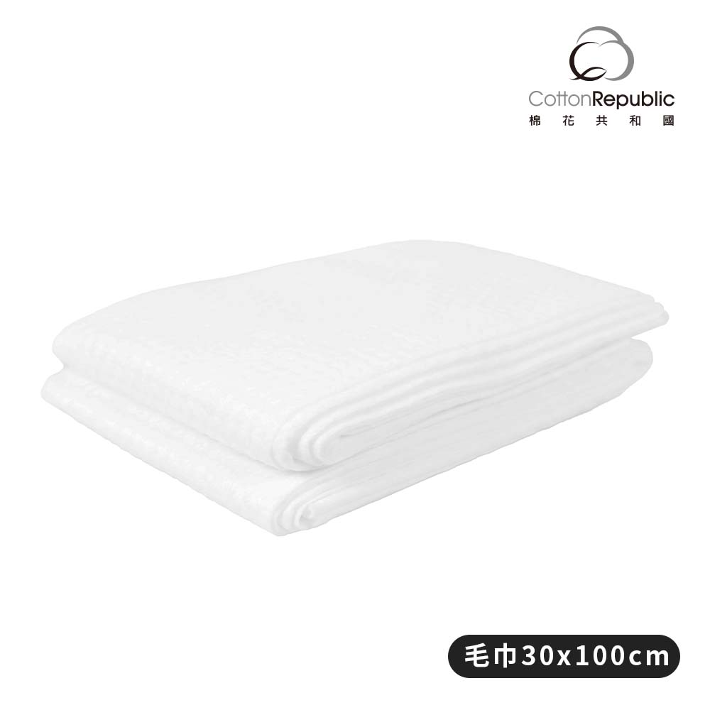 CR厚磅柔膚免洗吸水毛巾2入組, , large