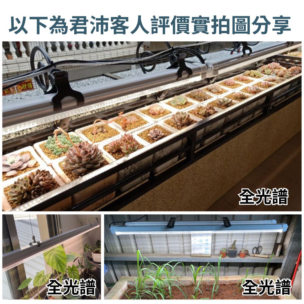 【君沛】2呎 25W 防水全光譜 植物燈 三防燈 LED植物生長燈 觀葉 鹿角蕨 龍舌蘭 陽台植物架 補光, , large