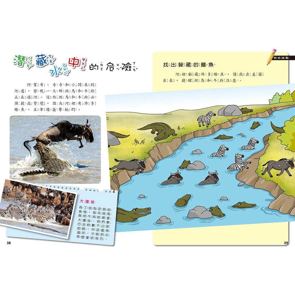 [小牛頓]PLAY&LEARN：草原冒險 適合5-8歲 平裝全彩 高階遊戲書, , large