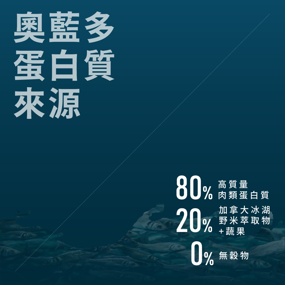【Allando 奧藍多】無榖貓糧阿拉斯加鱈魚+羊肉1.2KG(全齡貓/貓飼料/貓糧), , large