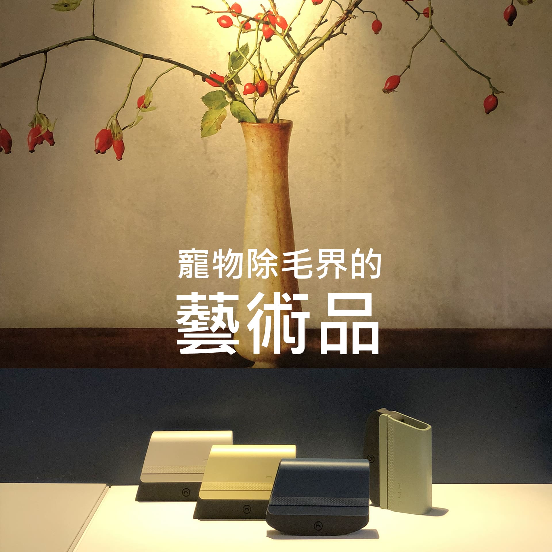 [HhL] 毛毛皂-寵物布面除毛橡皮擦 (套組) | 海軍藍, , large