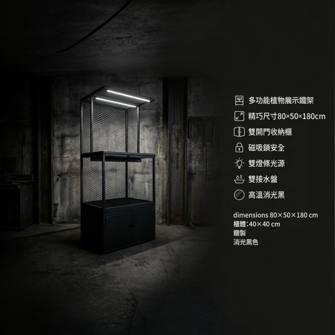 【 SHAONIANNA.TW 】創意塊根植物鐵架（搭配實用收納櫃，完美收納與展示）, , large