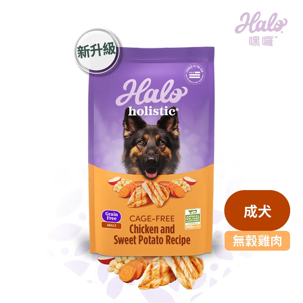 HALO, , large