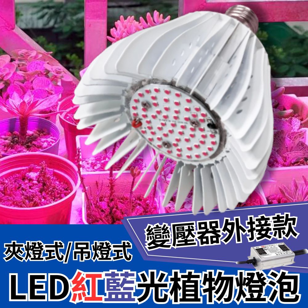 【君沛植物燈】LED植物燈 LED 50W 植物燈 外接電源型 紅藍光譜 LED 植物生長燈, , large