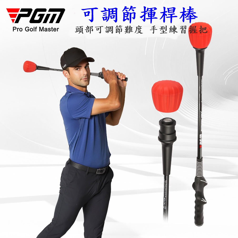 PGM, , large