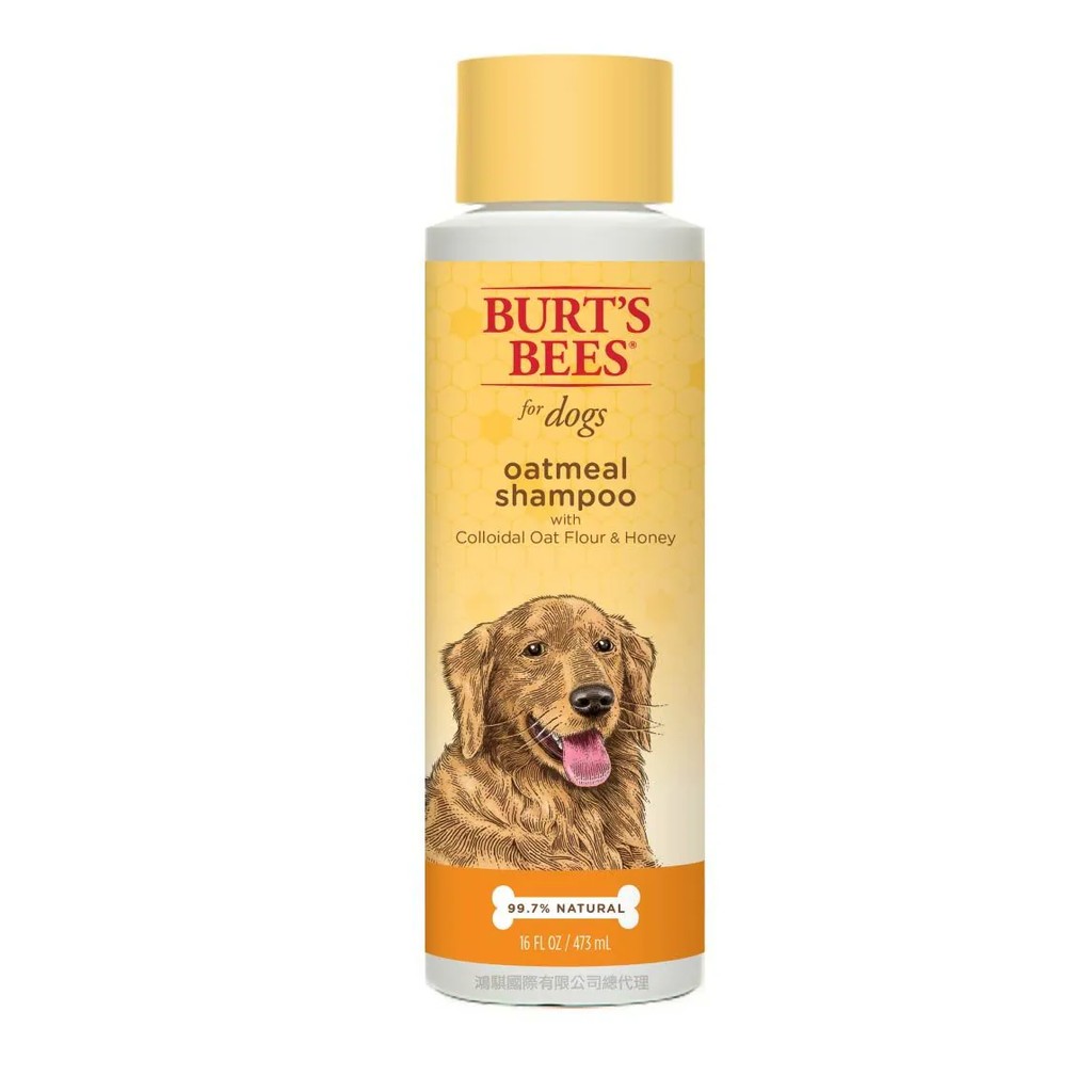 【PawHomie】Burt's Bees 犬用潔淨沐浴露｜蜂蜜燕麥配方・低敏洗護・舒緩清潔, , large
