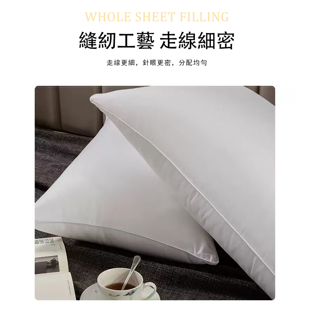 【KLGO】防蹣羽絲絨枕/抗敏枕頭、防塵蟎、透氣防蟎、物理防蟎、低敏感枕, , large