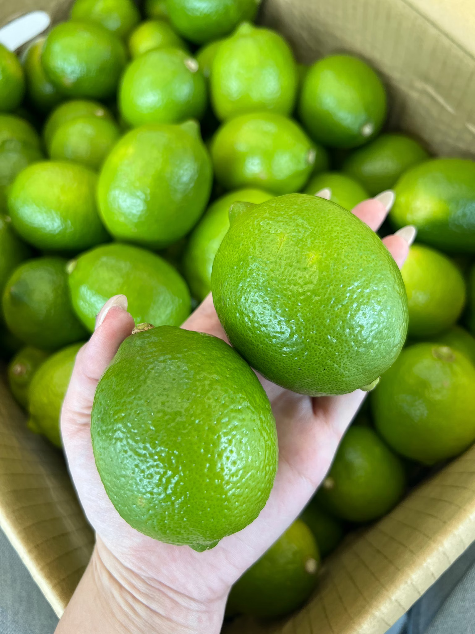 lemon, , large