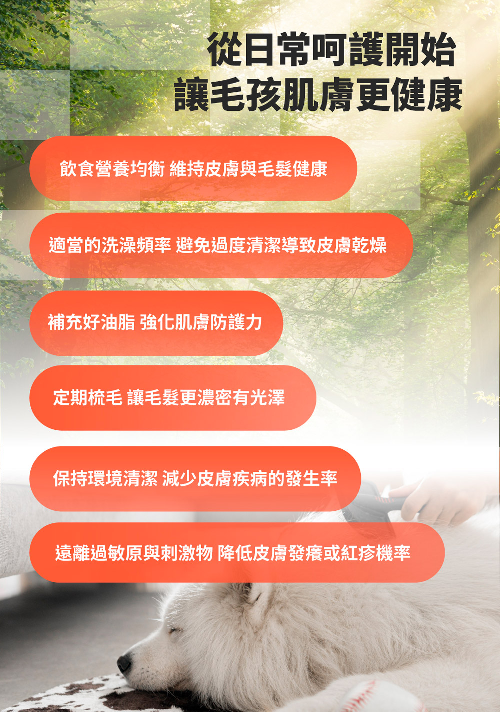 【GOMO PET FOOD】卵磷脂美膚/成犬無穀雙效護毛配方4.2kg 狗飼料 狗糧, , large