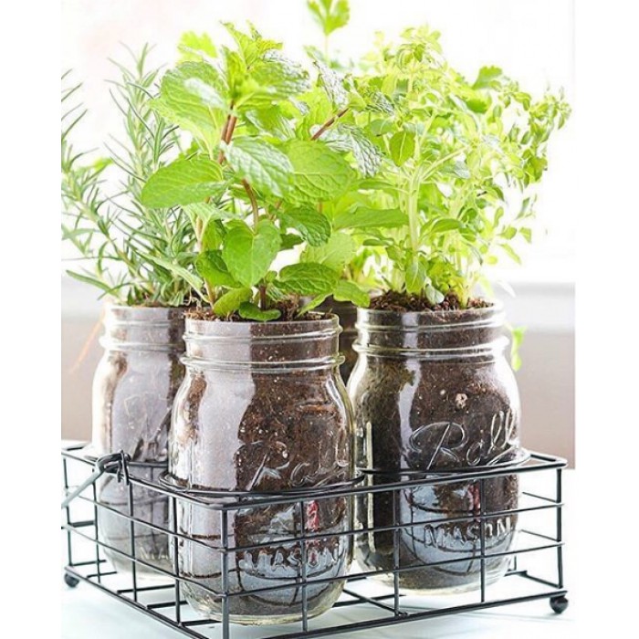 [Ball&reg;單入]16oz 窄口刻度款 Glass Regular Mouth Mason Jar 梅森罐 玻璃瓶 密封罐 廚房收納, , large
