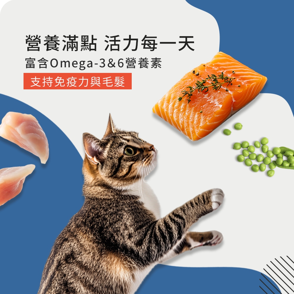 【拉拉寵物小舖】美國 心靈雞湯 貓飼料 經典系列 有穀 低敏 天然糧 WDJ推薦, , large