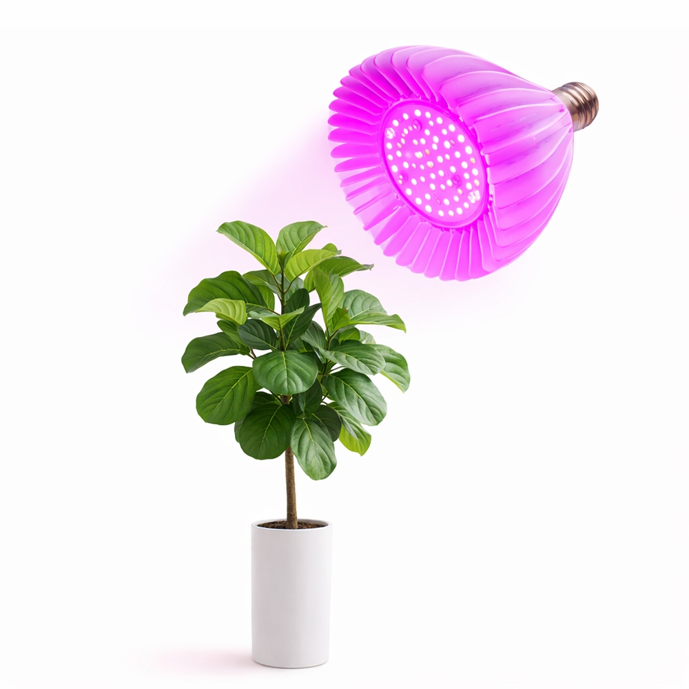 【君沛】植物生長燈 40W紅藍光 E27植物燈泡 抑制徒長 塊根 龍舌蘭 鹿角蕨 龜背芋 育苗補光, , large
