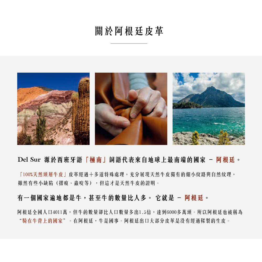 【Del Sur】阿根廷頭層牛皮純手工植鞣天然皮革電腦包-13.3橫式-經典黑, , large
