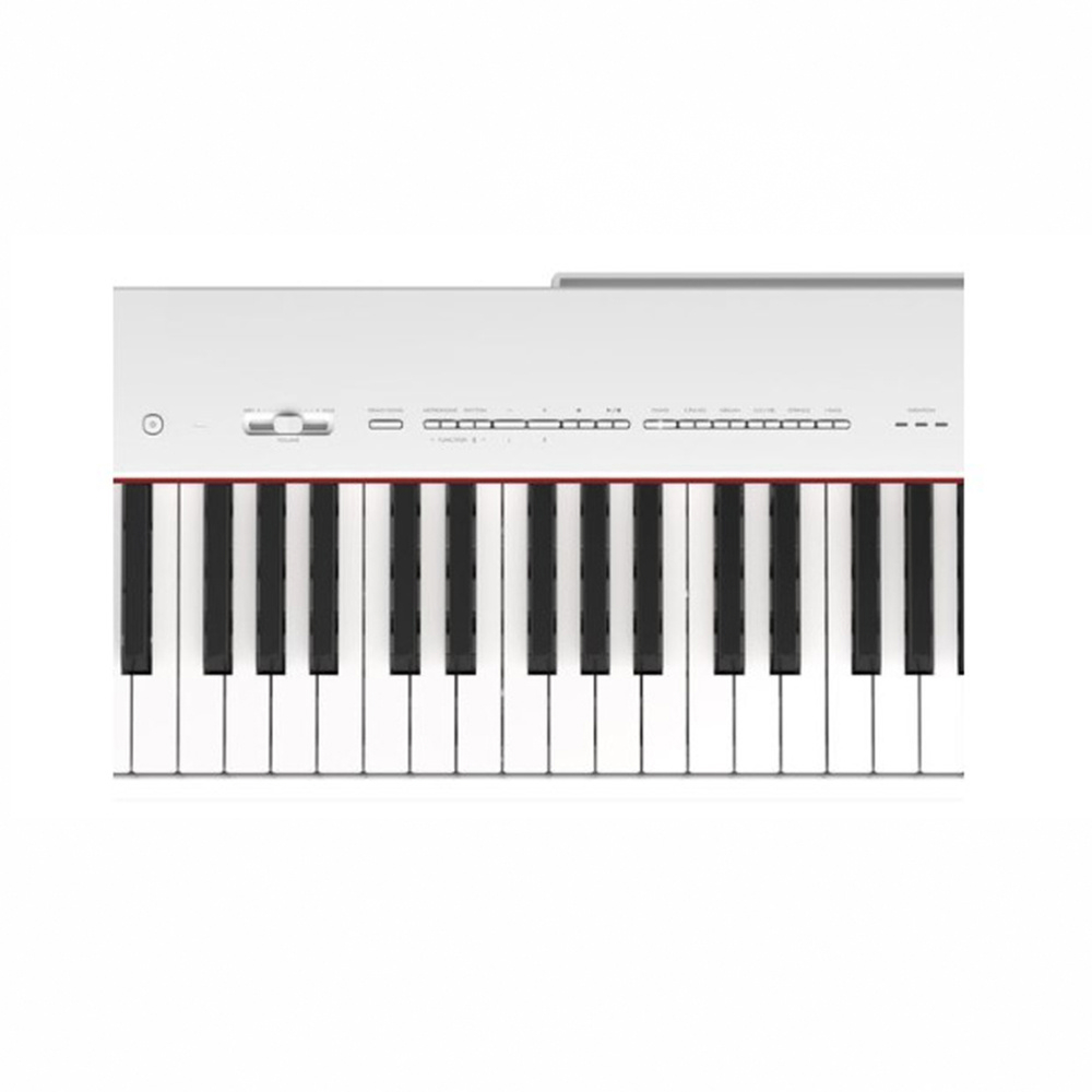 YAMAHA P225 88鍵 數位電鋼琴 單主機款 黑/白色【敦煌樂器】, , large