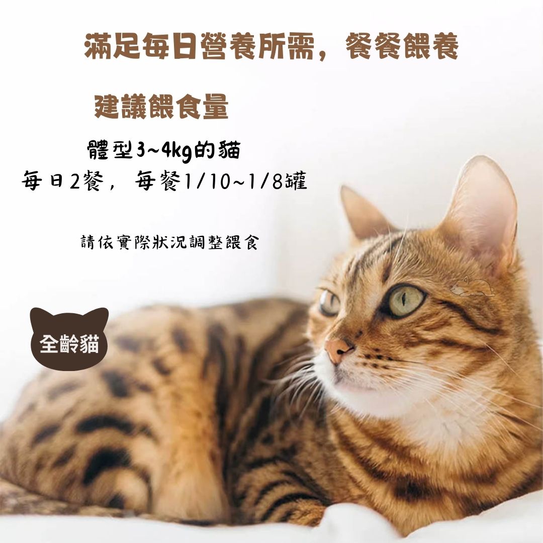 【喵Bar】全能貓餐罐 貓罐頭 紅肉罐400g x 24入, , large