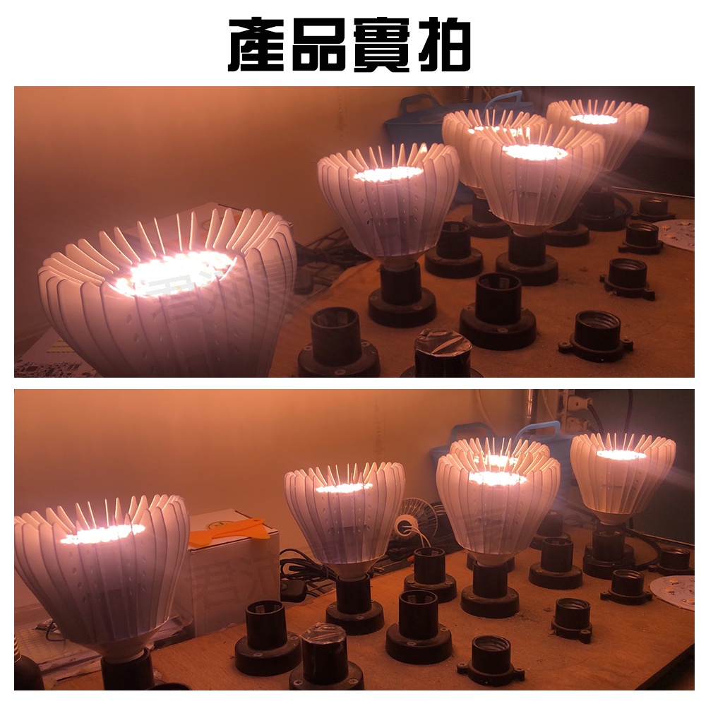 【君沛植物燈】LED植物燈 e27植物燈泡 夾式植物燈 40W 加強型光譜  塊根 龍舌蘭 鹿角蕨 龜背芋 仙人掌石蓮花, , large