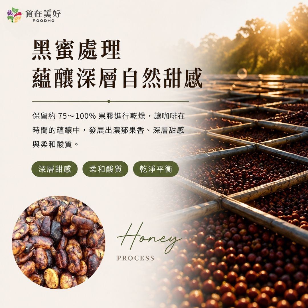 【食在美好】哥斯大黎加蜜韻浸泡咖啡10gX10 精品咖啡, , large