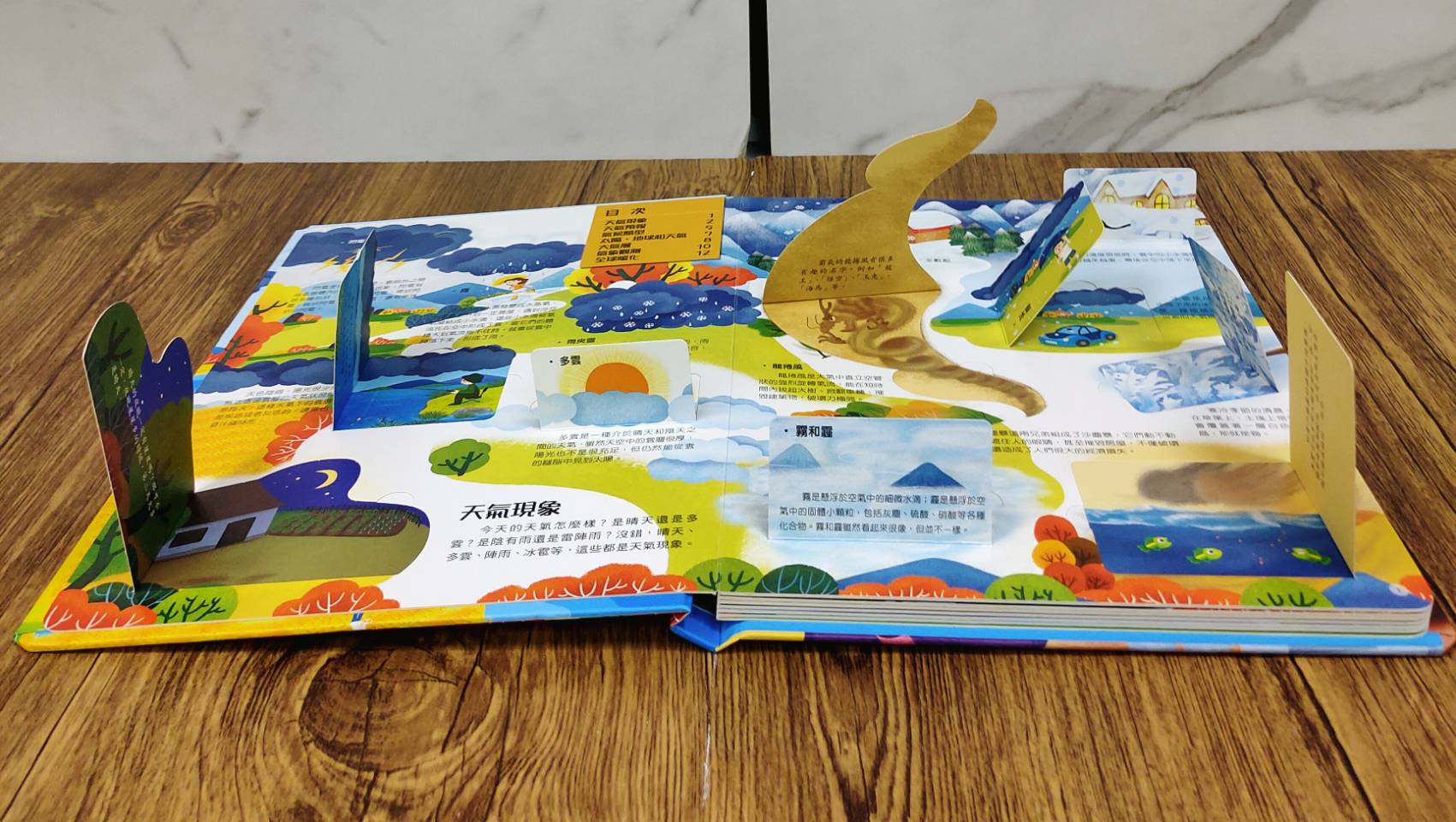 《南門書局》趣味科學知識揭祕翻翻書~揭祕動物, , large