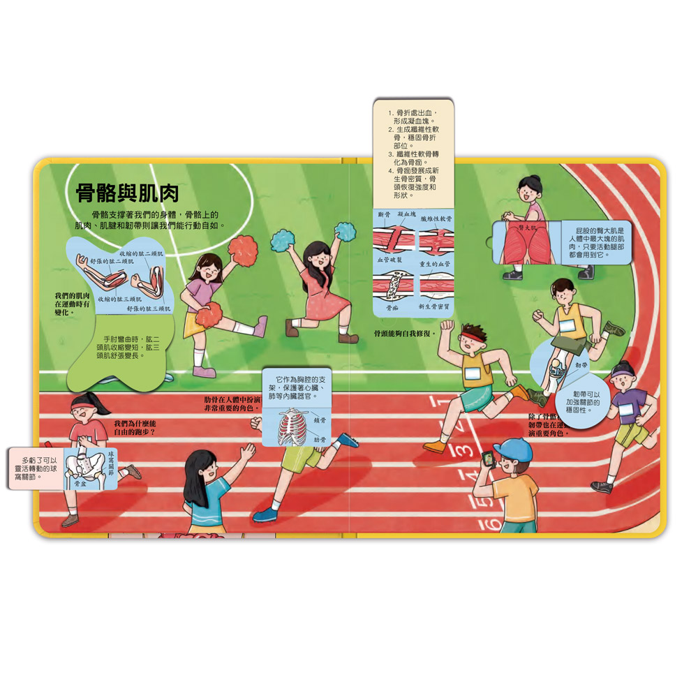 [風車圖書] 百問百答圖解翻翻書-揭祕身體, , large