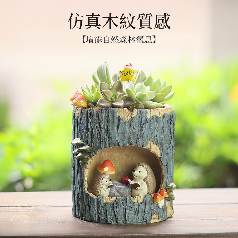 【上手家居】刺蝟多肉植物盆栽 刺蝟(多肉盆栽/室內植物/仙人掌盆栽/小盆栽/迷你盆栽), , large